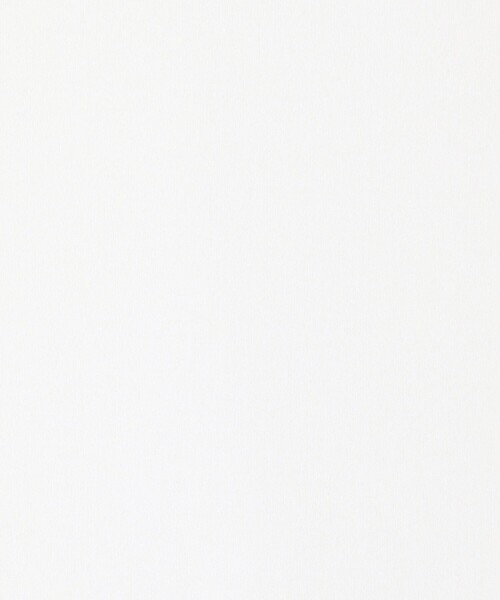 THE INTERNATIONAL IMAGES（インターナショルナルイメージズ）の「THE INTERNATIONAL IMAGES COLLECTION プリントTシャツ（Tシャツ/カットソー・メンズ・ホワイト・M/L）」の3枚目の写真