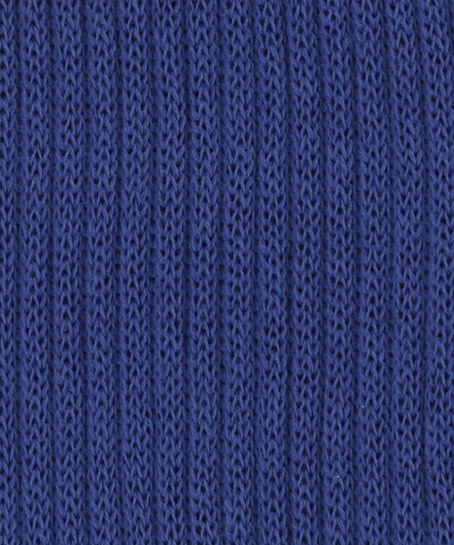 CITEN(シテン)の「<CITEN>CITEN刺繍ソックス(ソックス/靴下・レディース・ロイヤルブルー/ホワイト/ライトグレー・FREE)」の4枚目の写真