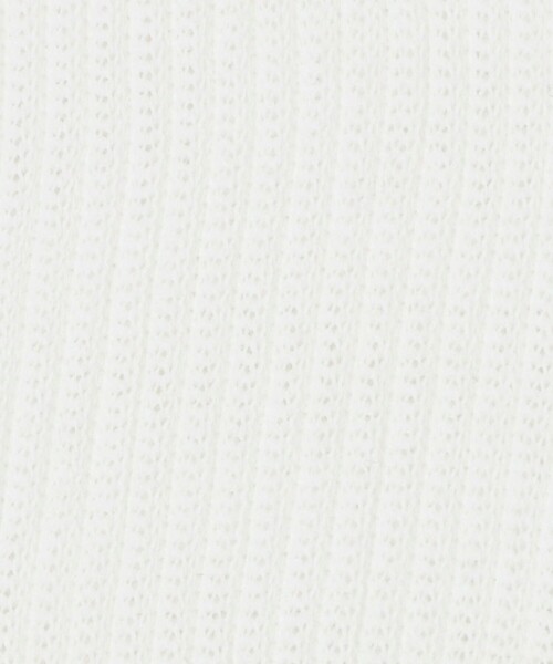 CITEN(シテン)の「<CITEN>CITEN刺繍ソックス(ソックス/靴下・レディース・ロイヤルブルー/ホワイト/ライトグレー・FREE)」の6枚目の写真