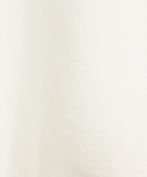 CLANE（クラネ）の「CLANE/クラネ/LOGO SHORT SWEAT TOPS（スウェット・レディース・ホワイト/ブラック/グレー・1/2）」の9枚目の写真