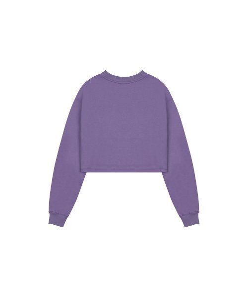 LUVISTRUE（ラヴイズトゥルー）の「MZ GLITTER LOGO MTM(PURPLE)（スウェット・レディース・その他・FREE）」の3枚目の写真