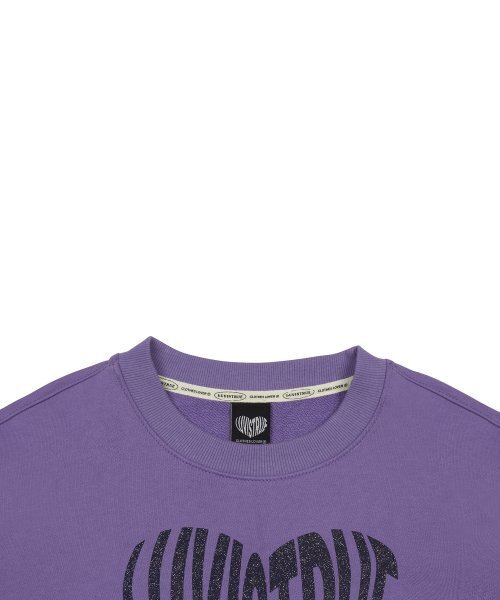 LUVISTRUE（ラヴイズトゥルー）の「MZ GLITTER LOGO MTM(PURPLE)（スウェット・レディース・その他・FREE）」の4枚目の写真