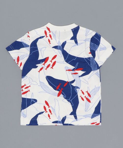 LB CLUB（エルビークラブ）の「天竺柄込み水族館柄Ｔシャツ（Tシャツ/カットソー・キッズ・ホワイト/ネイビー/サックスブルー/イエロー/ブルー/グリーン・100/110/120/80/90/130）」の7枚目の写真