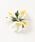 Maunaloa�i�}�E�i���A�j�́u�yMaunaloa�z�x���x�b�g�n�C�r�X�J�X�N���b�v�i�o���b�^/�w�A�N���b�v�j�v�b�z���C�g