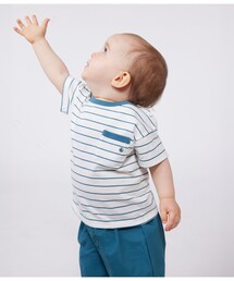 PETIT BATEAU | 半袖Tシャツ(Tシャツ/カットソー)