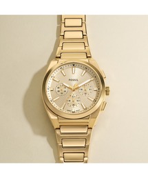 FOSSIL(tHbV)̃tHbV rv Y AiO XeX FS6119(AiOrv)