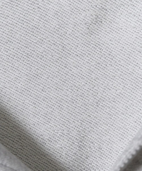 Champion(チャンピオン)の「Champion/チャンピオン HALF ZIP SWEATSHIRT ブランドロゴ USAコットン 裏毛仕様 ハーフジップスウェット トレーナー 2026秋冬 秋服(スウェット・メンズ・スカイブルー/ブラック/グレー/ダークネイビー/ライトグリーン・M/L/XL)」の6枚目の写真