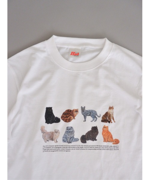 BEAVER(ビーバー)の「Hub PRODUCTS/ハブプロダクツ CAT/DOG TEE(Tシャツ/カットソー・レディース・ホワイト/オートミール・MEDIUM/LARGE/X-LARGE)」の4枚目の写真