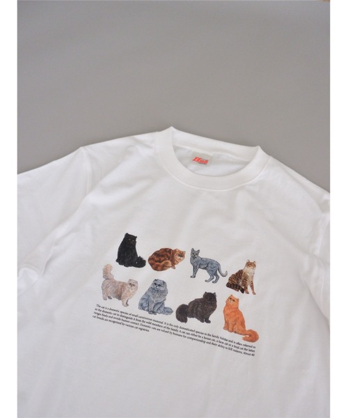 BEAVER(ビーバー)の「Hub PRODUCTS/ハブプロダクツ CAT/DOG TEE(Tシャツ/カットソー・レディース・ホワイト/オートミール・MEDIUM/LARGE/X-LARGE)」の16枚目の写真
