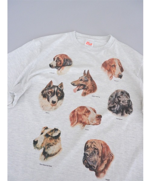 BEAVER(ビーバー)の「Hub PRODUCTS/ハブプロダクツ CAT/DOG TEE(Tシャツ/カットソー・レディース・ホワイト/オートミール・MEDIUM/LARGE/X-LARGE)」の8枚目の写真