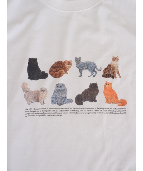 BEAVER(ビーバー)の「Hub PRODUCTS/ハブプロダクツ CAT/DOG TEE(Tシャツ/カットソー・レディース・ホワイト/オートミール・MEDIUM/LARGE/X-LARGE)」の14枚目の写真