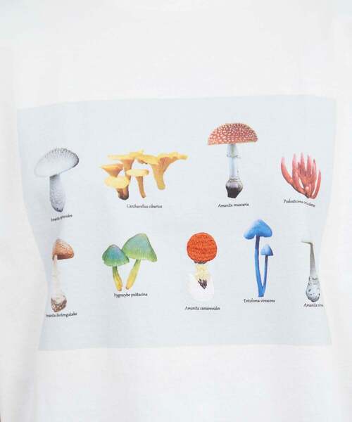 FRAPBOIS（フラボア）の「マッシュルームT（Tシャツ/カットソー・レディース・ホワイト/ネイビー・1/2）」の10枚目の写真