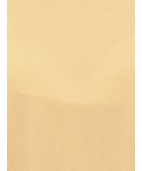 LAGUNAMOON（ラグナムーン）の「クロップドカットトップス（Tシャツ/カットソー・レディース・クリーム/チャコールグレー/アイボリー・FREE）」の14枚目の写真