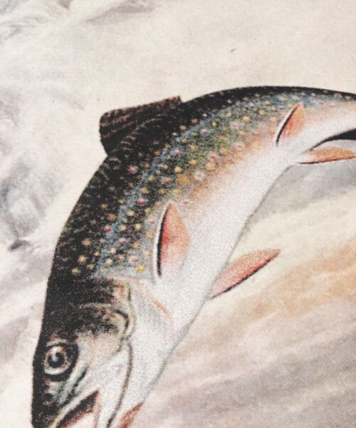 Foxfire（フォックスファイヤー）の「Foxfire/フォックスファイヤー 別注 Foxfire プリントクルーネック スウェット/カタログトラウト/バックプリント/リラックスフィット（スウェット・メンズ・ライトグレー/チャコールグレー/ネイビー・LARGE/MEDIUM）」の11枚目の写真