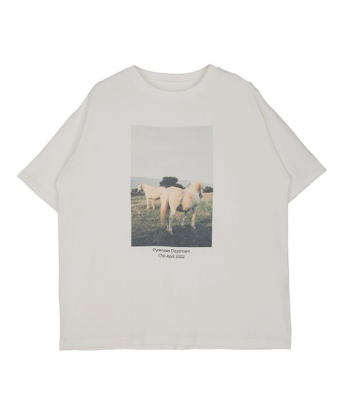 Ameri（アメリ）の「Silvia Conde Olivan×Ameri OVERSIZE TEE（Tシャツ/カットソー・レディース・スミクロ/ベージュ/グリーン/アイボリー・FREE）」の19枚目の写真