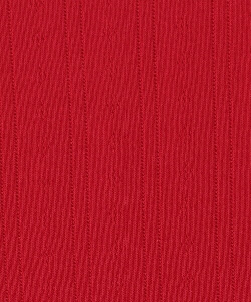 DES PRES（デ・プレ）の「アイレットジャージー ミニTシャツ（Tシャツ/カットソー・レディース・ホワイト/ブラック/レッド・FREE）」の11枚目の写真