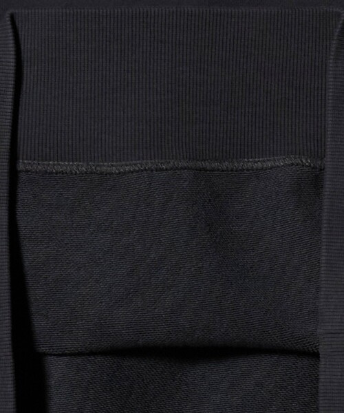 BEAUTY&YOUTH UNITED ARROWS(ビューティーアンドユースユナイテッドアローズ)の「コットン裏毛 ロゴスウェット プルオーバー(スウェット・レディース・ライトグレー/ダークグレー・FREE)」の14枚目の写真