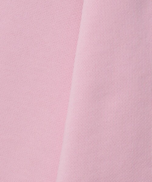 BEAUTY&YOUTH UNITED ARROWS(ビューティーアンドユースユナイテッドアローズ)の「コットン裏毛 ロゴスウェット プルオーバー(スウェット・レディース・ライトグレー/ダークグレー・FREE)」の19枚目の写真