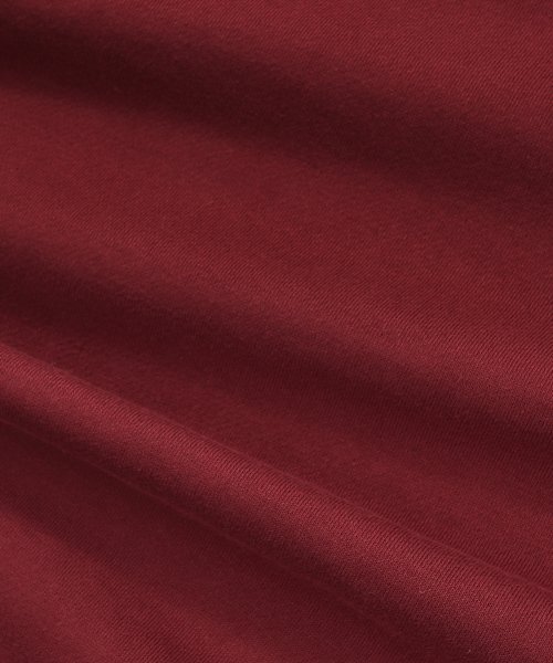 GAINSBORO(ゲインズボロ)の「ゴールデンロゴ スウェット_バーガンディ(スウェット・メンズ・その他・LARGE/MEDIUM/SMALL)」の8枚目の写真