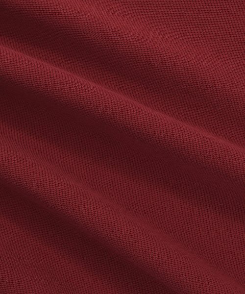 GAINSBORO(ゲインズボロ)の「ゴールデンロゴ スウェット_バーガンディ(スウェット・メンズ・その他・LARGE/MEDIUM/SMALL)」の9枚目の写真
