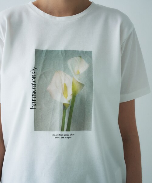 cloenc(クロエンス)の「グラフィックTシャツ|リサイクルポリエステル(Tシャツ/カットソー・レディース・ホワイト系3/カーキ系2/ホワイト系5/ホワイト系4/カーキ系3/ピンク系1/ピンク系2/ピンク系3/カーキ系4・02)」の15枚目の写真