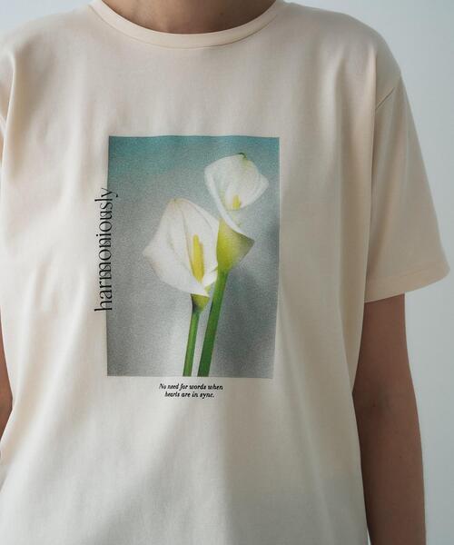 cloenc(クロエンス)の「グラフィックTシャツ|リサイクルポリエステル(Tシャツ/カットソー・レディース・ホワイト系3/カーキ系2/ホワイト系5/ホワイト系4/カーキ系3/ピンク系1/ピンク系2/ピンク系3/カーキ系4・02)」の22枚目の写真