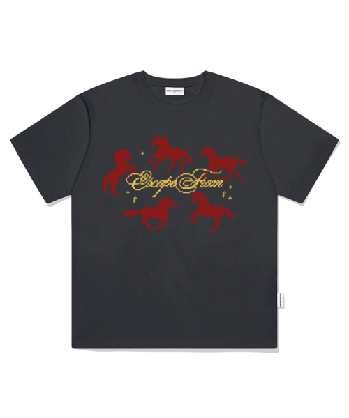ESCAPEFROM(エスケープフロム)の「アラウンドホースプリントオーバーサイズ半袖Tシャツグレー(Tシャツ/カットソー・レディース・その他・LARGE/MEDIUM/SMALL)」の6枚目の写真