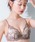 Wing�i�E�C���O�j�́u�u�n�C���C�g�u���v�i�u���W���[�j�v�b�u���E��