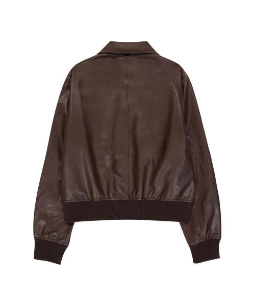 セール】Western Collar Leather Jacket (Brown)（ライダース