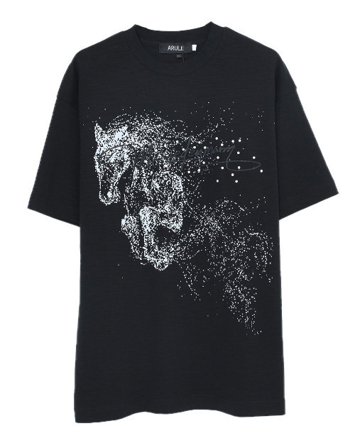 ARULE(アルール)の「『ARULE/アルール』ホースラインストーン刺繍半袖Tシャツ【GC】(Tシャツ/カットソー・メンズ・ブラック/ホワイト・L/M)」の3枚目の写真