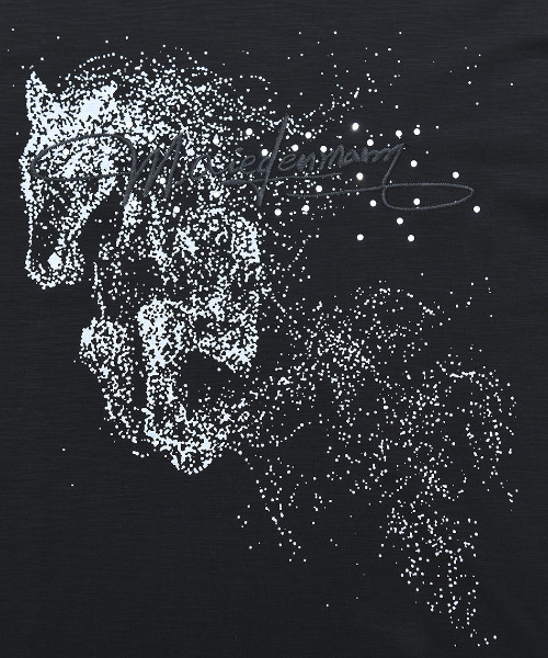 ARULE(アルール)の「『ARULE/アルール』ホースラインストーン刺繍半袖Tシャツ【GC】(Tシャツ/カットソー・メンズ・ブラック/ホワイト・L/M)」の9枚目の写真