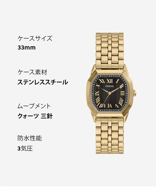 FOSSIL（フォッシル）の「フォッシル 腕時計 メンズ アナログ ステンレス FS6213（アナログ腕時計・メンズ・ゴールド・FREE）」の10枚目の写真