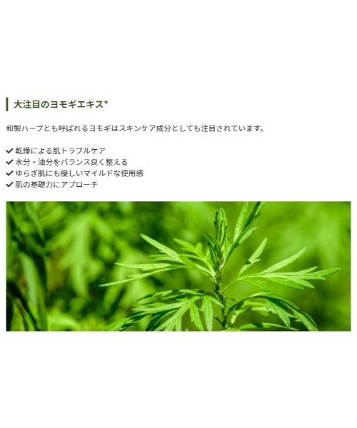 MISSHA（ミシャ）の「【MISSHA/ミシャ】AM トリートメントエッセンス（R）（化粧水・レディース・その他・FREE）」の6枚目の写真