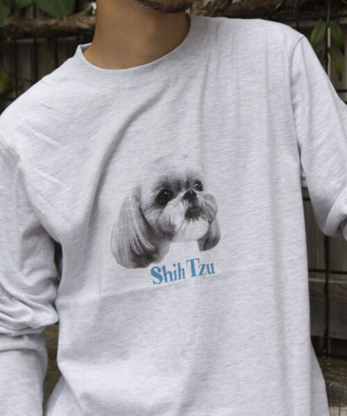 GLOSTER(グロスター)の「《新柄&新色追加!!》【GLOSTER/グロスター】DOG&CAT 犬猫プリントロンT(Tシャツ/カットソー・メンズ・ホワイト系その他/ホワイト系その他2/ホワイト系その他3/ホワイト系その他4/ホワイト系その他5/ホワイト系その他6/グレー系その他/グレー系その他2/グレー系その他3/グレー系その他4/グレー系その他5/グレー系その他6・M/L/XL)」の11枚目の写真