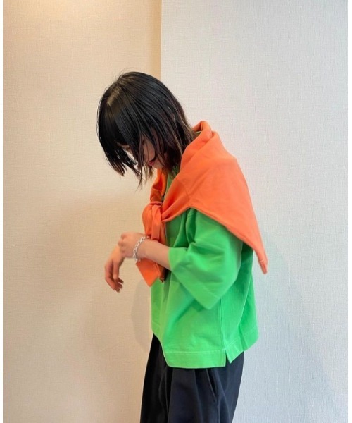 EVCON(エビコン)の「【EVCON】エビコン EVCON GARMENT DYED W S/S(Tシャツ/カットソー・メンズ・グリーン/オレンジ/サックスブルー・3/2/1)」の10枚目の写真
