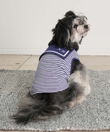 KID BLUE（キッドブルー）の「キッドブルー -ボーダードッグ -ドッグウエア -KGBW177 -kidblue（ペットウェア）」