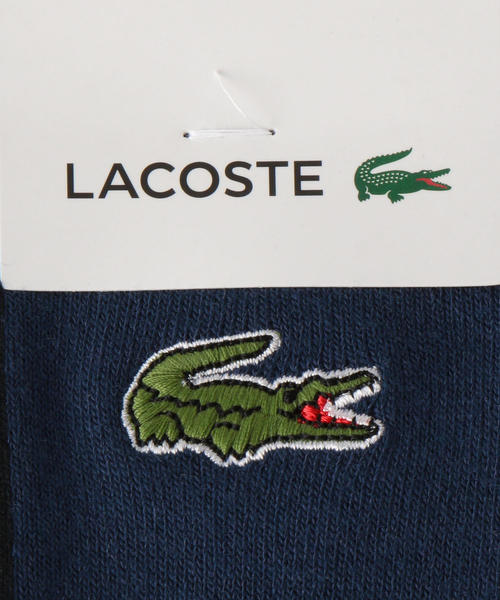 VAINL ARCHIVE（ヴァイナルアーカイブ）の「＜LACOSTE＞×＜BEAUTY&YOUTH＞ by ＜VAINL ARCHIVE＞ SOCKS/ソックス □□（ソックス/靴下・メンズ・ネイビー/ホワイト・FREE）」の4枚目の写真