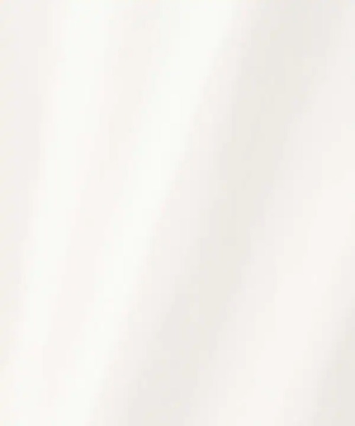 N.（N. Natural Beauty Basic）（エヌエヌナチュラルビューティーベーシック）の「バックペプラムノースリーブブラウス（シャツ/ブラウス・レディース・ホワイト/ピンク系その他/ブルー系その他・MEDIUM）」の17枚目の写真