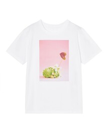 コットン天竺ロマネスコプリントTシャツ