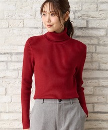 【ハニぽか・ダイナホット・ウォッシャブル】あったかリブ編タートル