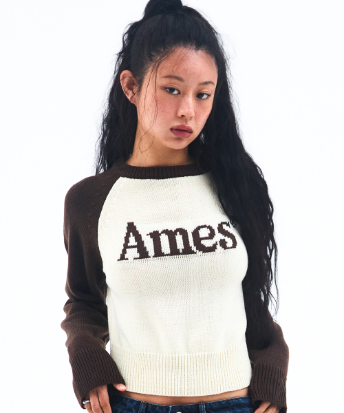 AMESWORLDWIDE(アメスワールドワイド)の「BASIC RAGLAN PULLOVER KNIT BROWN(ニット/セーター・メンズ・その他・LARGE/MEDIUM/SMALL)」の4枚目の写真