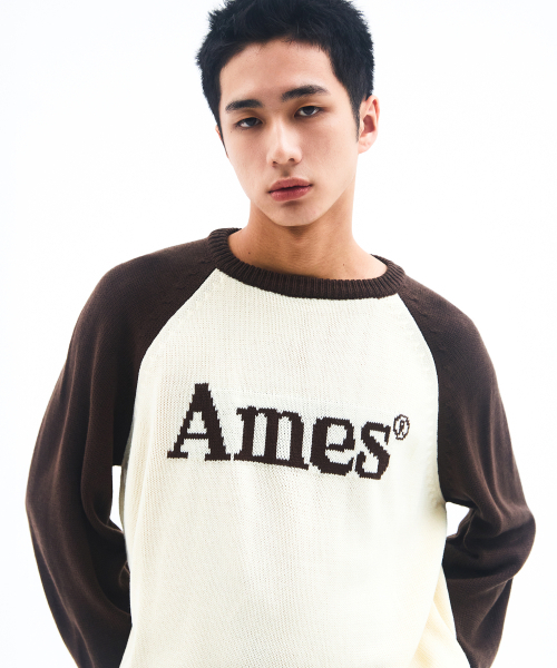 AMESWORLDWIDE(アメスワールドワイド)の「BASIC RAGLAN PULLOVER KNIT BROWN(ニット/セーター・メンズ・その他・LARGE/MEDIUM/SMALL)」の5枚目の写真