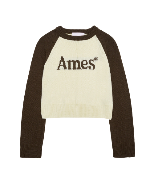 AMESWORLDWIDE(アメスワールドワイド)の「BASIC RAGLAN PULLOVER KNIT BROWN(ニット/セーター・メンズ・その他・LARGE/MEDIUM/SMALL)」の10枚目の写真