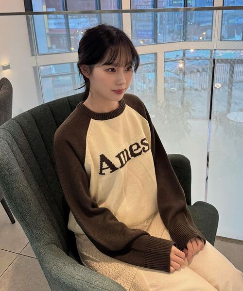 AMESWORLDWIDE(アメスワールドワイド)の「BASIC RAGLAN PULLOVER KNIT BROWN(ニット/セーター・メンズ・その他・LARGE/MEDIUM/SMALL)」の14枚目の写真