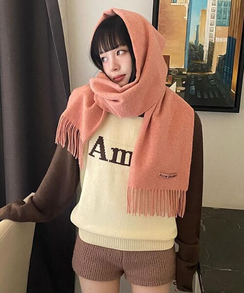 AMESWORLDWIDE(アメスワールドワイド)の「BASIC RAGLAN PULLOVER KNIT BROWN(ニット/セーター・メンズ・その他・LARGE/MEDIUM/SMALL)」の15枚目の写真