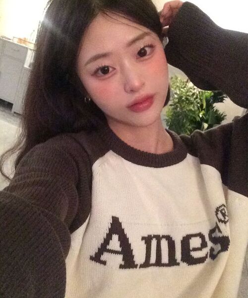 AMESWORLDWIDE(アメスワールドワイド)の「BASIC RAGLAN PULLOVER KNIT BROWN(ニット/セーター・メンズ・その他・LARGE/MEDIUM/SMALL)」の16枚目の写真