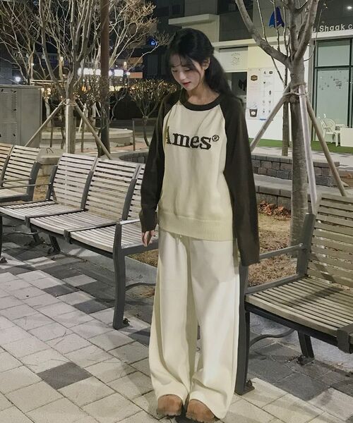 AMESWORLDWIDE(アメスワールドワイド)の「BASIC RAGLAN PULLOVER KNIT BROWN(ニット/セーター・メンズ・その他・LARGE/MEDIUM/SMALL)」の19枚目の写真