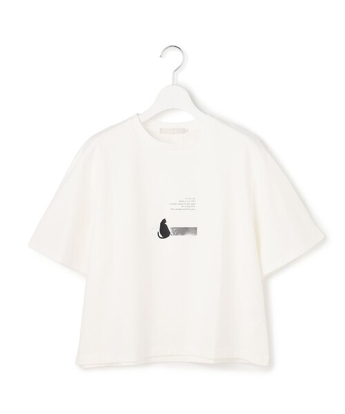 ICB(アイシービー)の「ロゴTEE(猫モチーフ)(Tシャツ/カットソー・レディース・アイボリー系/ブラック系・MEDIUM/X-SMALL/SMALL)」の7枚目の写真
