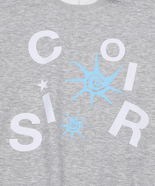 COIRIS(コイリス)の「ロアパズルロゴ スウェット 男女共用 (2カラー)(スウェット・レディース・グレー/チャコール・FREE)」の4枚目の写真