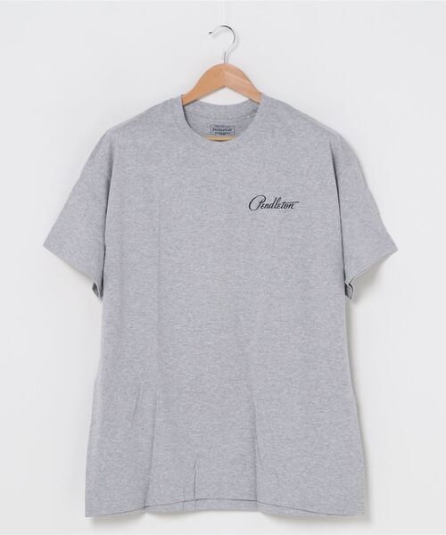 PENDLETON(ペンドルトン)の「【PENDLETON/ペンドルトン】(UN)NATIONAL PARKS GRAPHIC TEES(Tシャツ/カットソー・メンズ・グレー/ネイビー・SMALL/MEDIUM/LARGE)」の1枚目の写真
